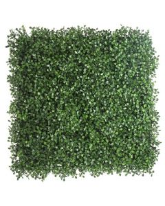 Boxwood Artificial Green Wall - Living Wall Panel 1m x 1m Coverage